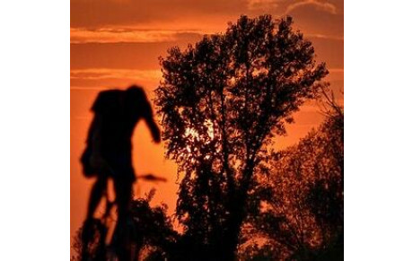 Enquete de satisfaction, participez à la victoire: Partagez votre expérience au sein du club !